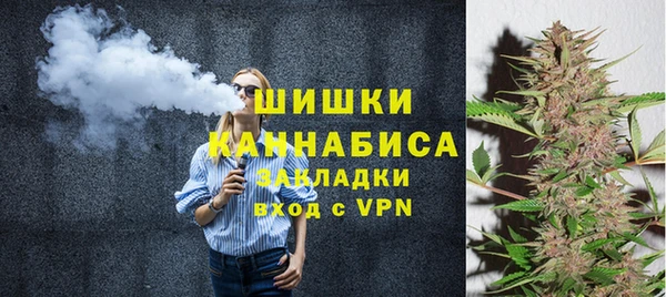 тгк Пересвет