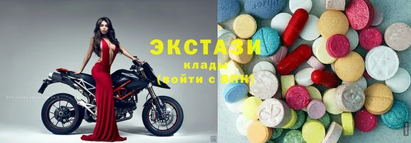 тгк Пересвет