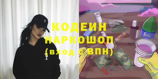 тгк Пересвет