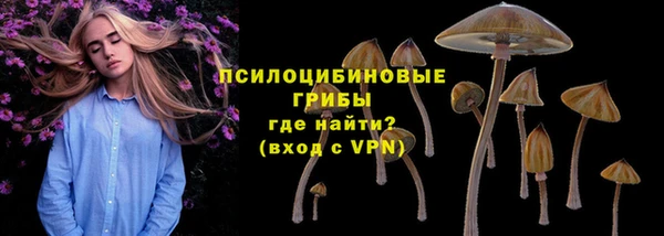 СК Заречный